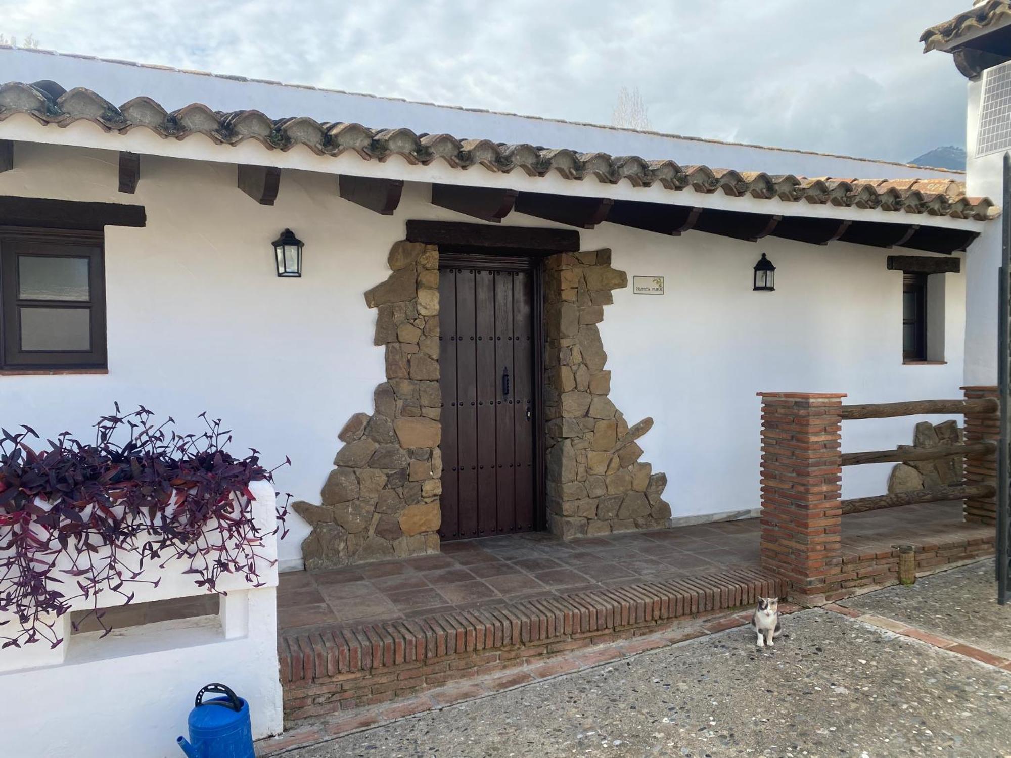 Malaga Sierra De Las Nieves By Real Spain Hotels Adults Recommended 卡萨拉博内拉 外观 照片